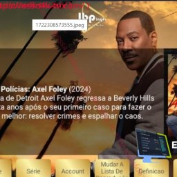 NEW IBO GOLD PANEL 3.10 2024 WITH TMDB 2.0