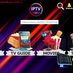 IPTVPRO 5.0.1 V725 en panneaux (licV3)
