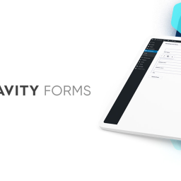 Gravity Forms Builder 2.9.7.2 Wordpress Plugins.