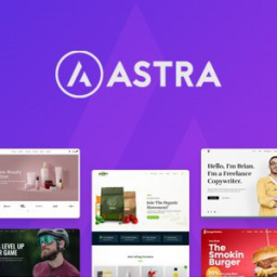 Astra Pro  Fast and Lightweight Theme 4.11.0 for WordPress