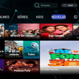 IBO VIP  UNIT (Apk + Panel)